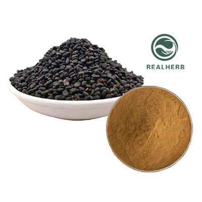 프럭투스 프소라레애 추출물